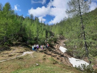 Na planini Lipanca  slika 1