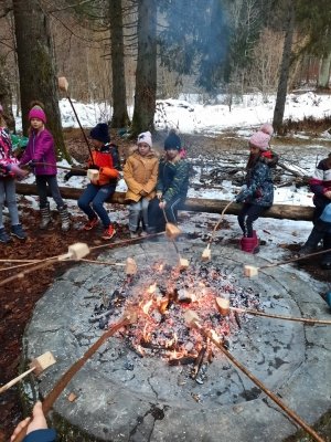 Utrinki iz šole v naravi v Kočevju (4. a in 4. b)  slika 21