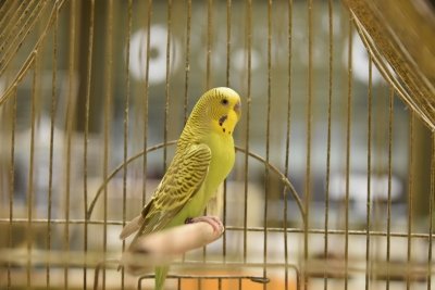 Čarobno na božično-novoletnih delavnicah slika 4