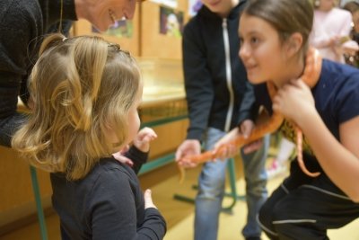 Čarobno na božično-novoletnih delavnicah slika 53