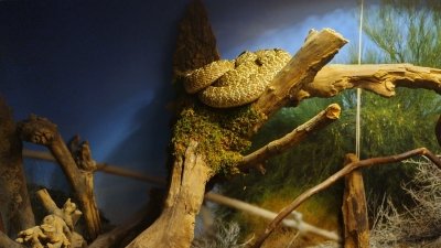 Obiskali smo Minimundus in Reptilienzoo Happ  slika 12