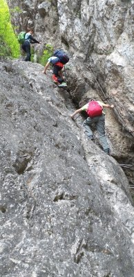 Planinci na Prevali in Poljški planini  slika 19