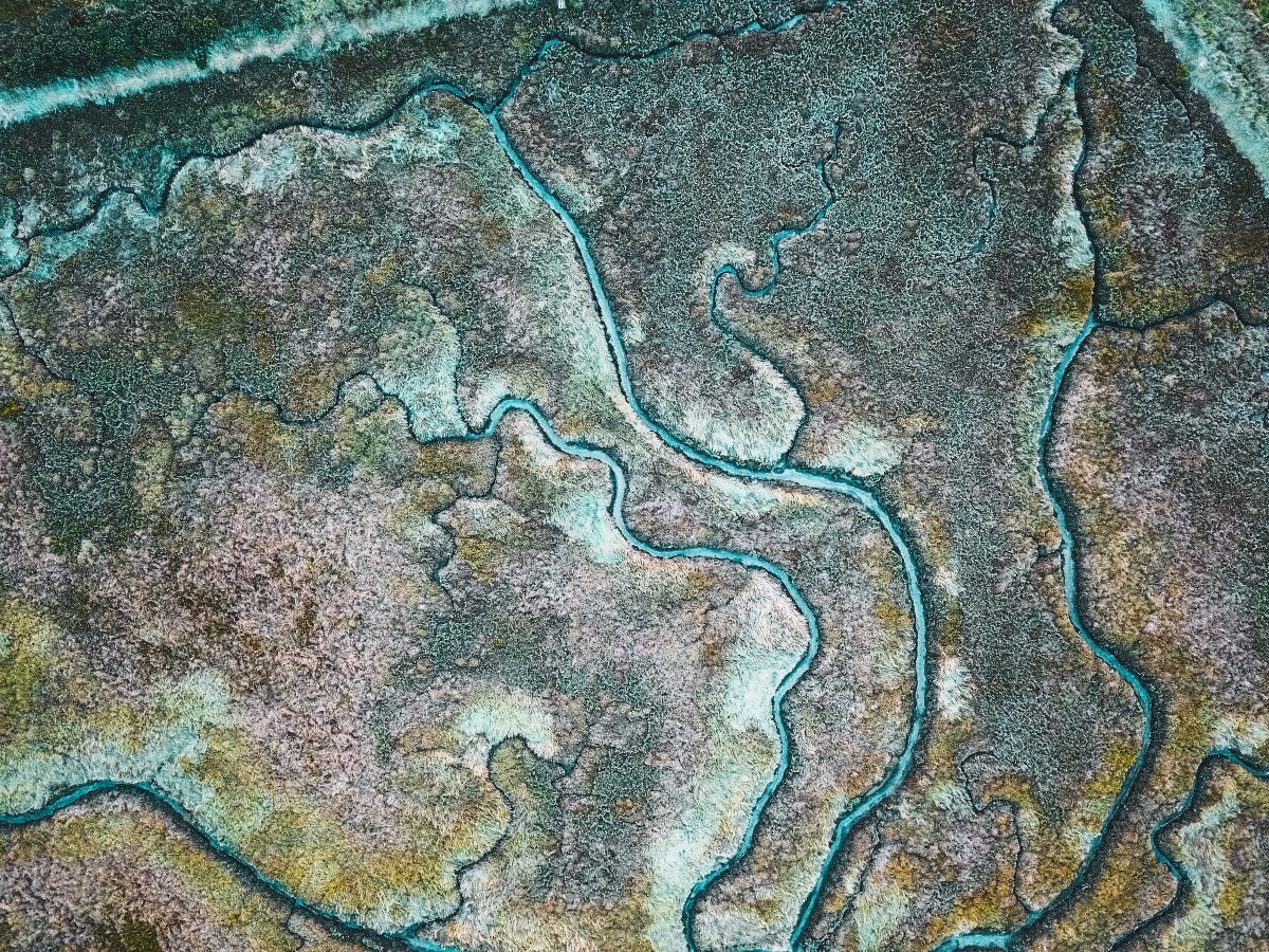 Šolsko tekmovanje iz znanja geografije