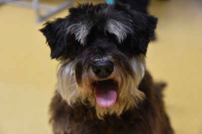 Čarobno na božično-novoletnih delavnicah slika 28