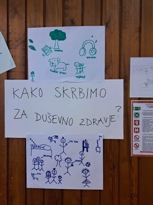 Sodelovanje učencev na regijskem otroškem parlamentu  slika 3