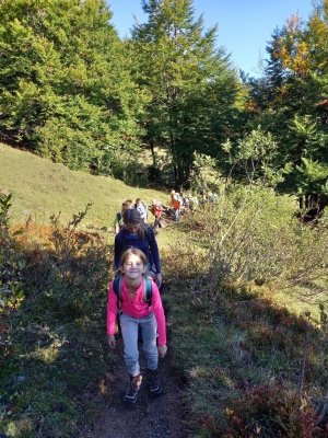 Potep mladih planincev nad Soriško planino  slika 3