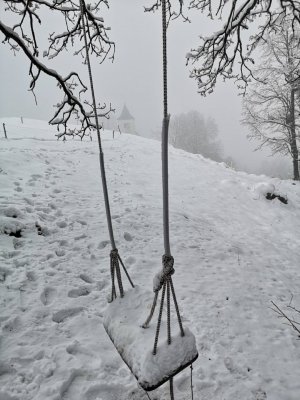 Beli teden  slika 11
