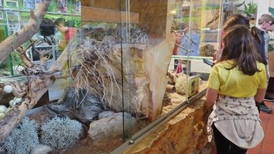 Obiskali smo Minimundus in Reptilienzoo Happ  slika 42