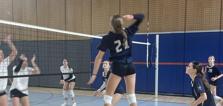 Prvo in tretje mesto na šolske področnem tekmovanju v odbojki