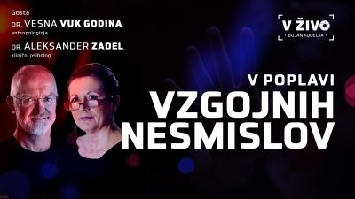 V poplavi vzgojnih nesmislov slika 1
