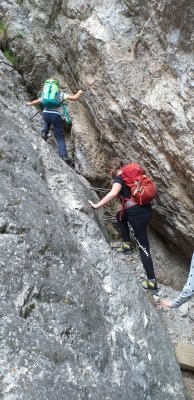 Planinci na Prevali in Poljški planini  slika 15