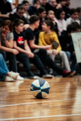 Košarkarji OŠ Antona Tomaža Linharta Radovljica spet državni prvaki  slika 10