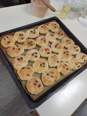 Fotodnevnik iz Fare  slika 30