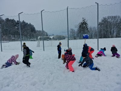 Pouk v gozdu pozimi  slika 8
