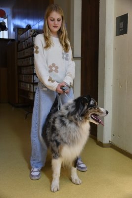 Čarobno na božično-novoletnih delavnicah slika 10
