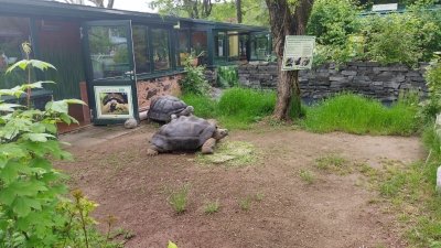 Obiskali smo Minimundus in Reptilienzoo Happ  slika 45