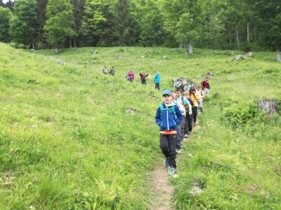 Planinci na Prevali in Poljški planini  slika 28