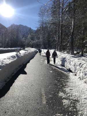 Zimski športni dan v Kranjski Gori  slika 5