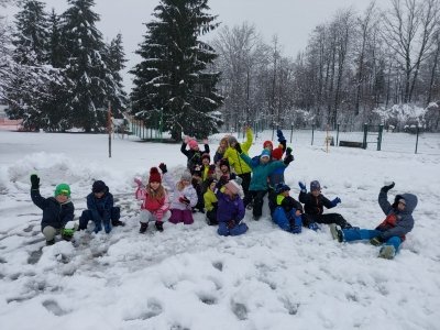 Pouk v gozdu pozimi  slika 7