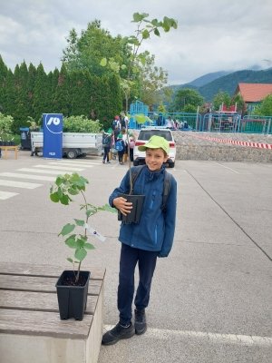 Uspeh naših mladih čebelarjev na državnem tekmovanju  slika 6
