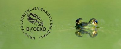 Naravoslovni dan za 7. razred - delavnice z eksotičnimi živalmi slika 1