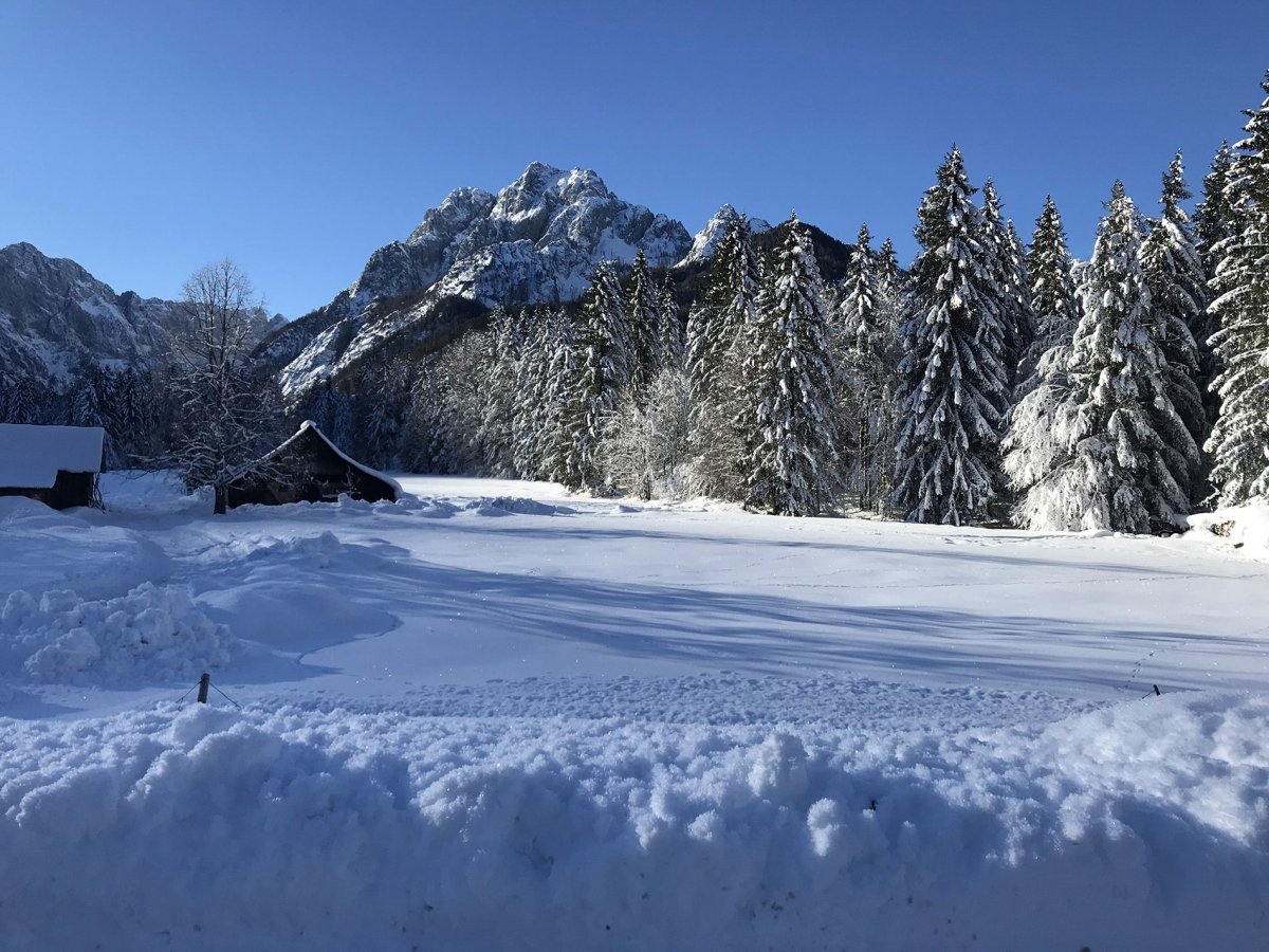 Zimski športni dan v Kranjski Gori