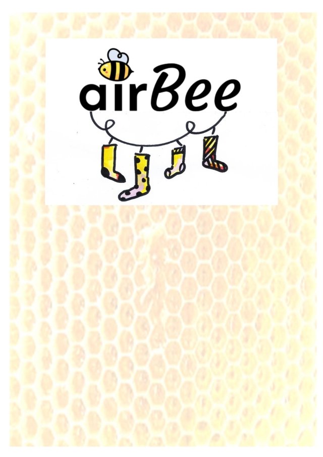 Naslovnica projektne naloge AirBee