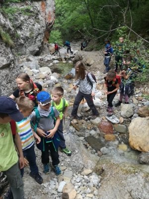 Planinci na Prevali in Poljški planini  slika 27