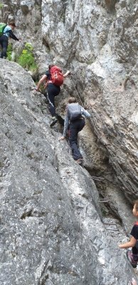 Planinci na Prevali in Poljški planini  slika 25