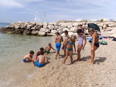 Finalna tekmovanja Plazma športnih iger mladih  slika 4