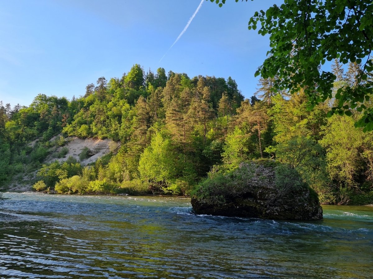 Najboljše počitnice doslej (pismo ravnatelja)