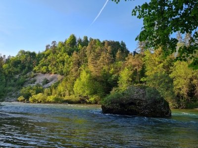 Najboljše počitnice doslej (pismo ravnatelja) slika 1