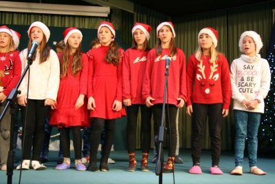 Proslava ob dnevu samostojnosti in enotnosti  slika 15