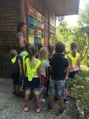 Tehniški dan: Čebelarski center  slika 7