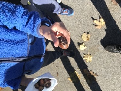 Kostanjev piknik v podaljšanem bivanju  slika 2