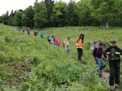 Planinci na Prevali in Poljški planini  slika 42