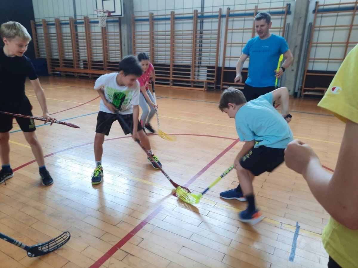 Izbirni predmer šport: dvoranski hokej