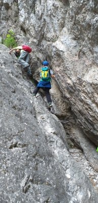 Planinci na Prevali in Poljški planini  slika 33