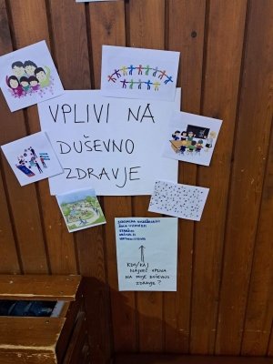Sodelovanje učencev na regijskem otroškem parlamentu  slika 2