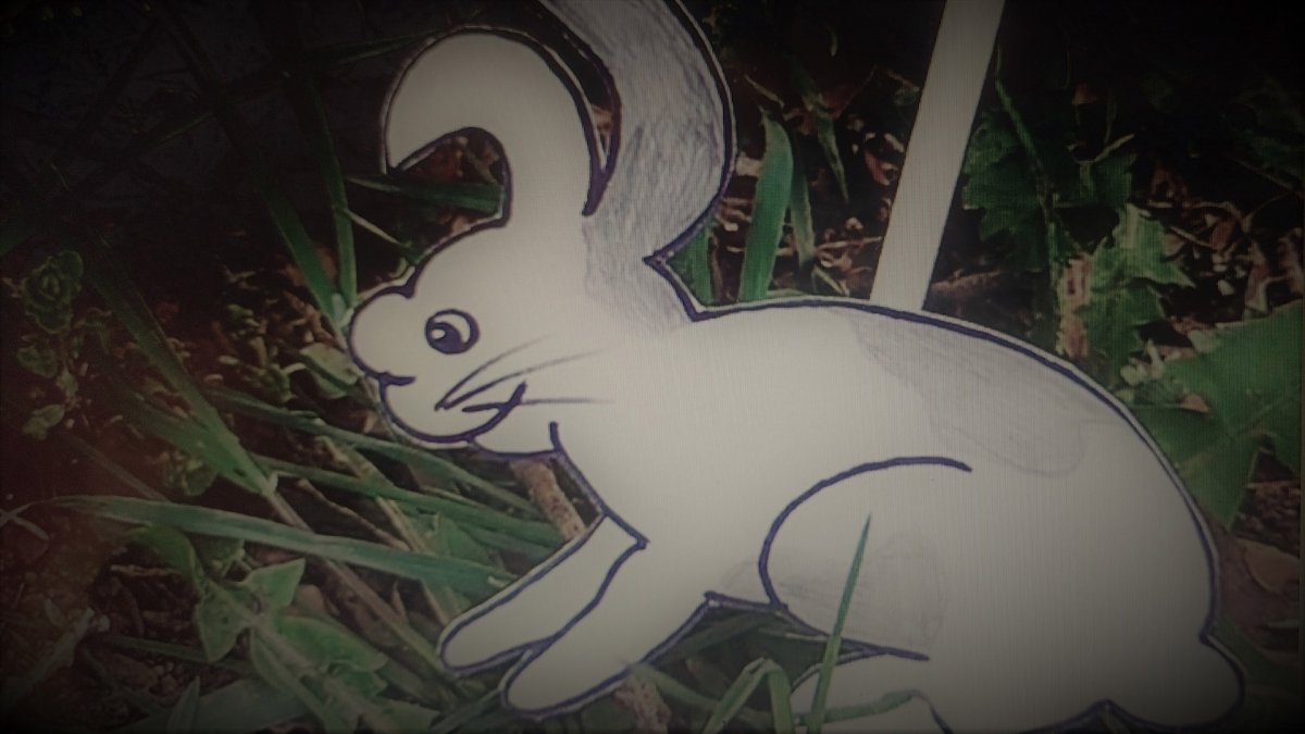 Der kleine Hase sucht einen Freund
