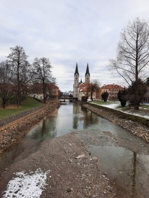 Utrinki iz šole v naravi v Kočevju (4. a in 4. b)  slika 69