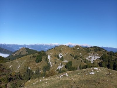 Potep mladih planincev nad Soriško planino  slika 5