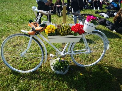Uspešni na Prvenstvu Slovenije v krosu za osnovne šole  slika 12