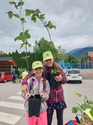 Uspeh naših mladih čebelarjev na državnem tekmovanju  slika 5