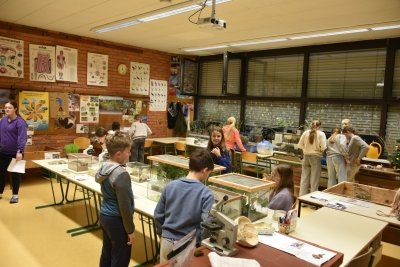 Čarobno na božično-novoletnih delavnicah slika 2