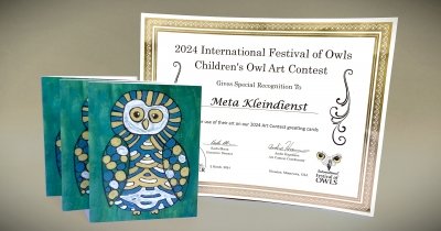 Meta Kleindienst nagrajena na mednarodnem likovnem natečaju Sove slika 1