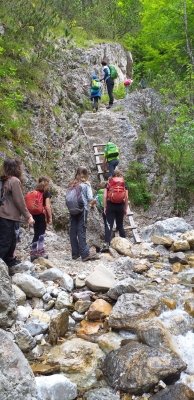 Planinci na Prevali in Poljški planini  slika 34