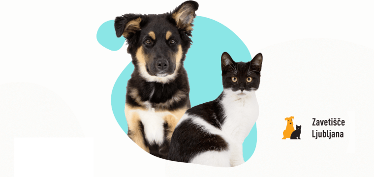 Zbiralna akcija za Zavetišče za zapuščene živali Ljubljana
