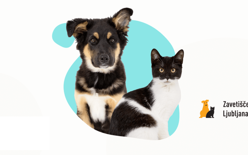 Zbiralna akcija za Zavetišče za zapuščene živali Ljubljana
