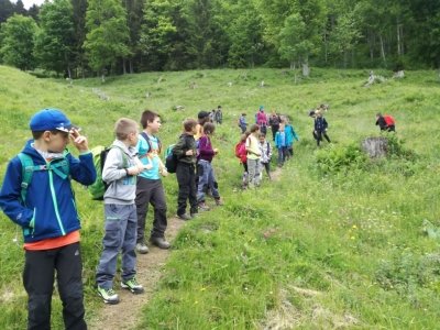 Planinci na Prevali in Poljški planini  slika 26